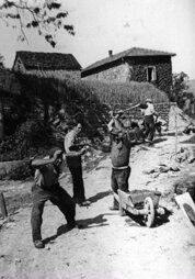 aa5856cb-5224-41cf-8723-25c7da358173