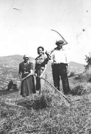 dac1f8c2-8c2f-45b3-a2bf-500a43b859e4