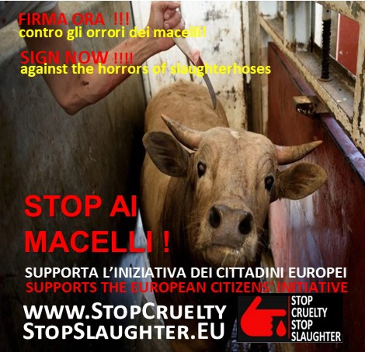 6f90bac1-6801-47e1-bb45-ffc5301d0f21