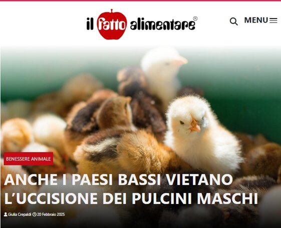 61508ce5-2b6c-42ab-8eb6-4489e39d7cec 61508ce5-2b6c-42ab-8eb6-4489e39d7cec