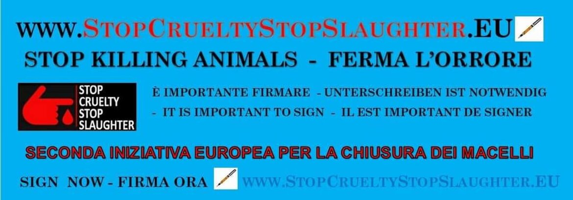 815ab5aa-d382-44eb-acb6-473dedbab836