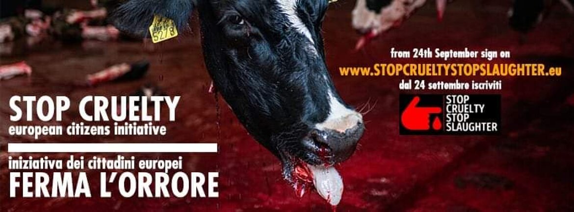 b0435942-6cf0-4d46-ba75-e1e74de2a345