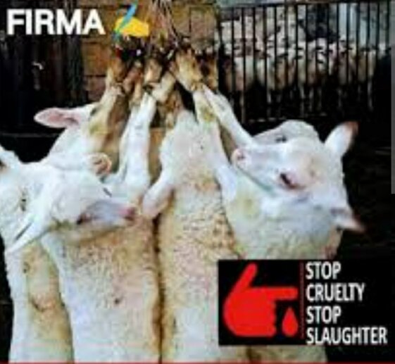 13c8c5af-e3f7-4c79-93bd-89e43e791dbc