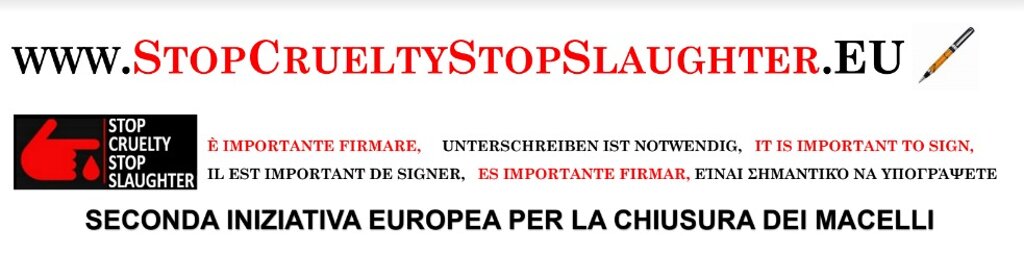 de1786f4-7ddc-4b2d-9514-79776f650215