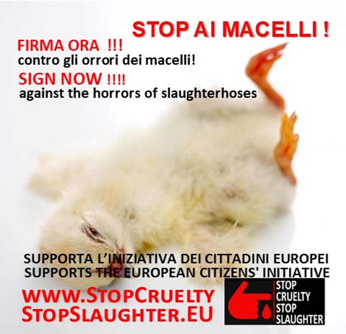 77265ff5-477a-450a-9876-2a6570e50217