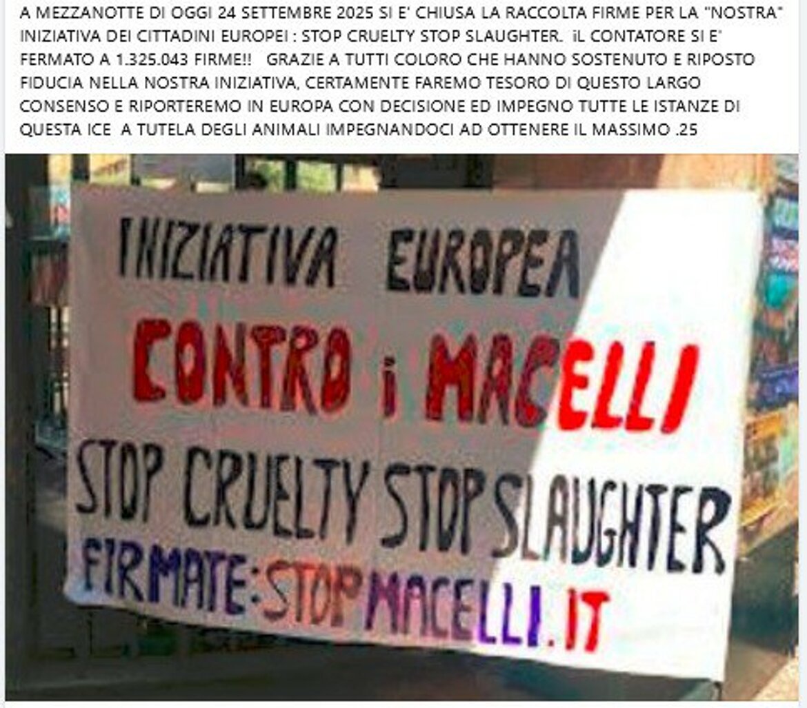 ff5f43f8-f6ed-4d39-a6dc-e9aad78510a3 ff5f43f8-f6ed-4d39-a6dc-e9aad78510a3