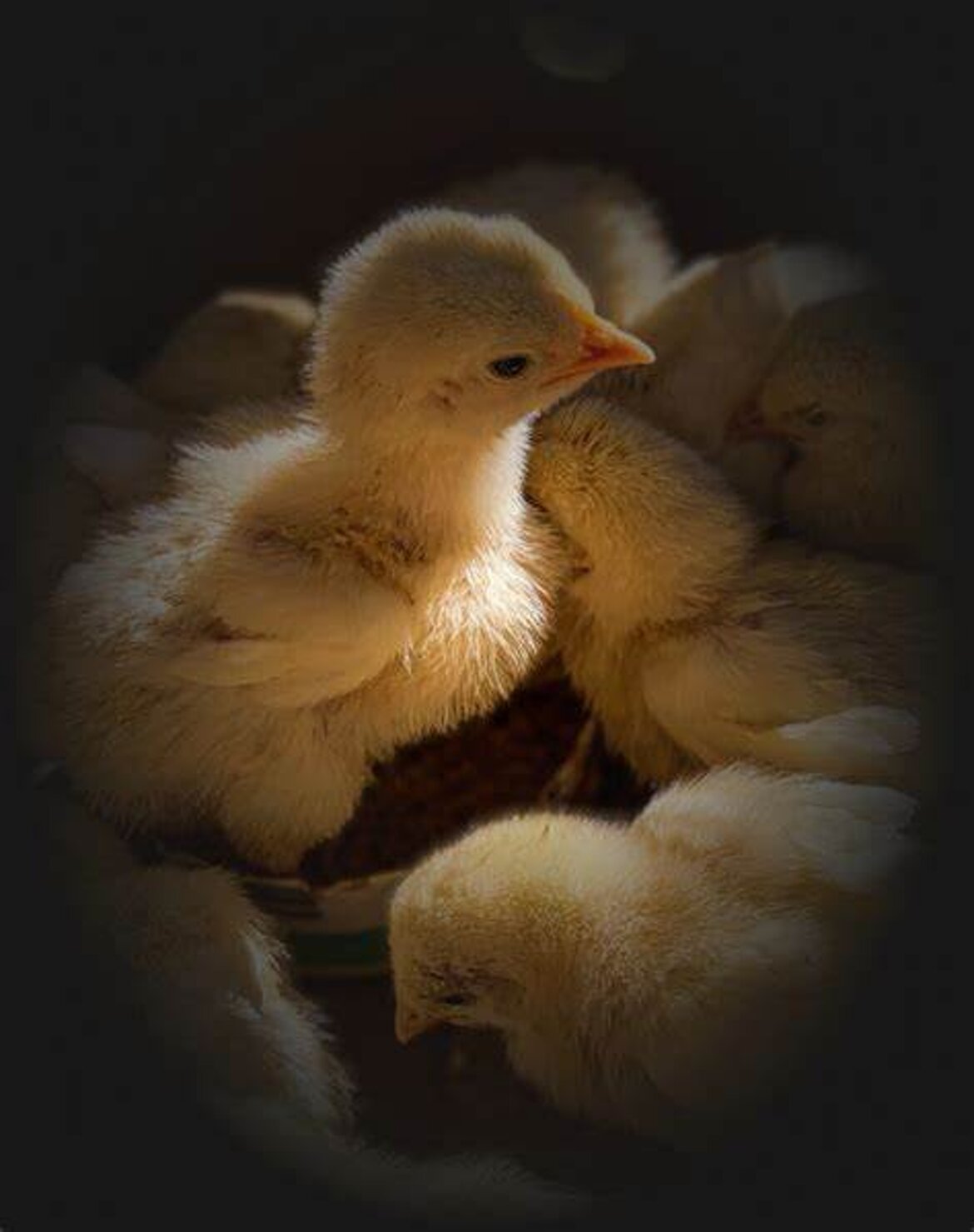 d338c39e-b57f-4e40-8ee3-e65f1d7af43a d338c39e-b57f-4e40-8ee3-e65f1d7af43a