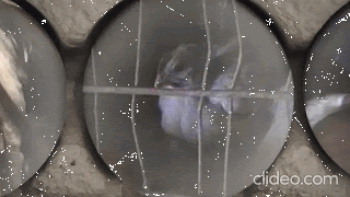 fa319f43-b60e-43dc-9674-c38ef5d3c80e fa319f43-b60e-43dc-9674-c38ef5d3c80e