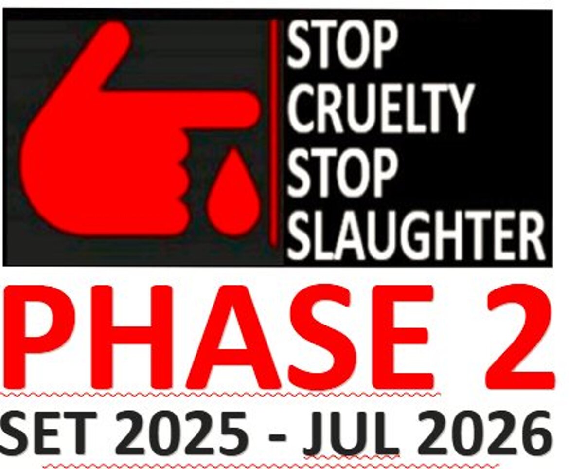 29b37cd7-d60f-444f-a873-79a28f8f931e 29b37cd7-d60f-444f-a873-79a28f8f931e