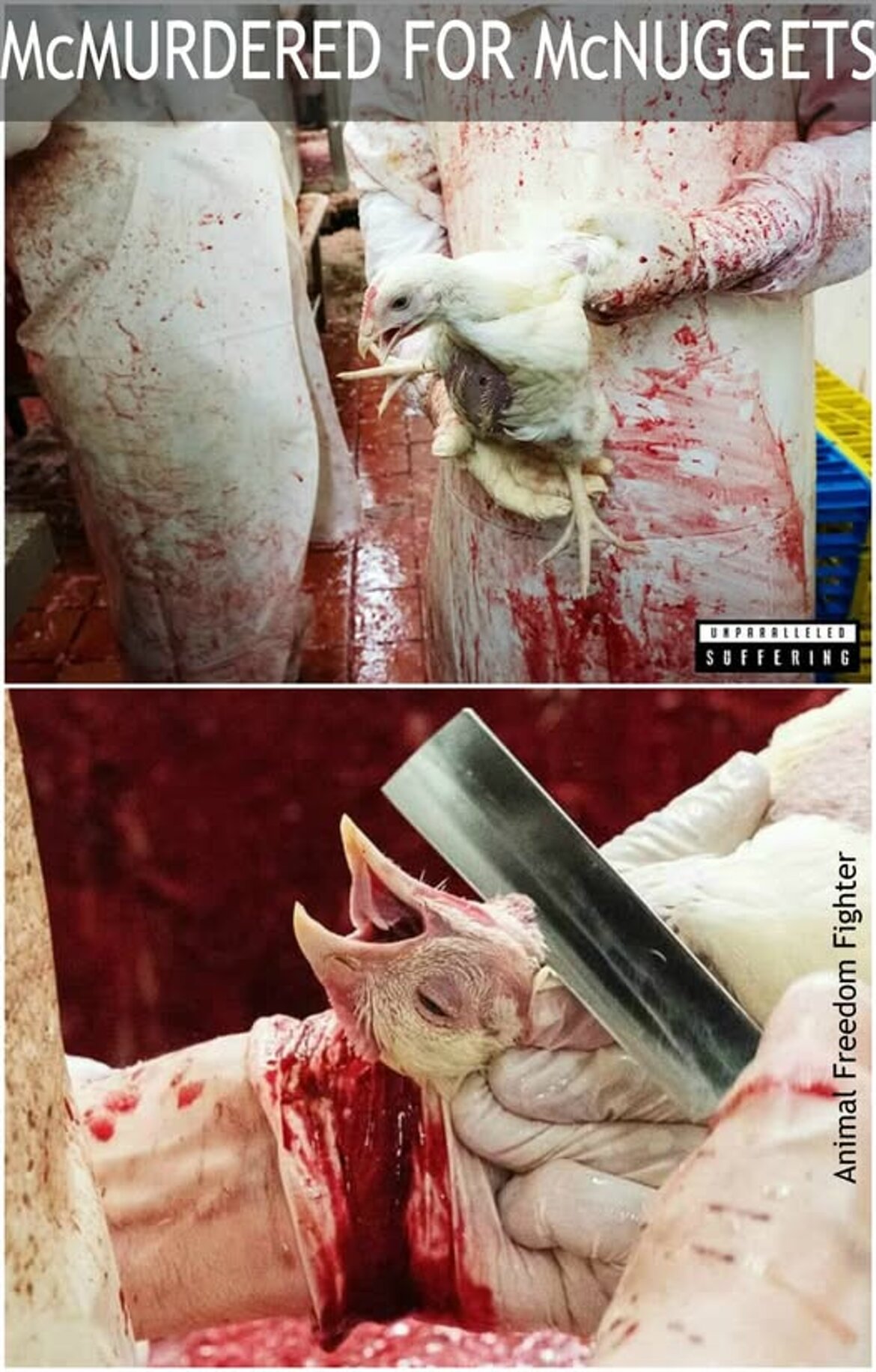 0f6ea884-b81b-4ae0-9d89-dab35f17f841 0f6ea884-b81b-4ae0-9d89-dab35f17f841