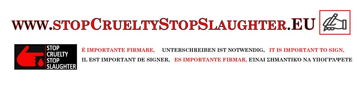 c60077a0-bf3f-4275-872b-0ba8c282c105