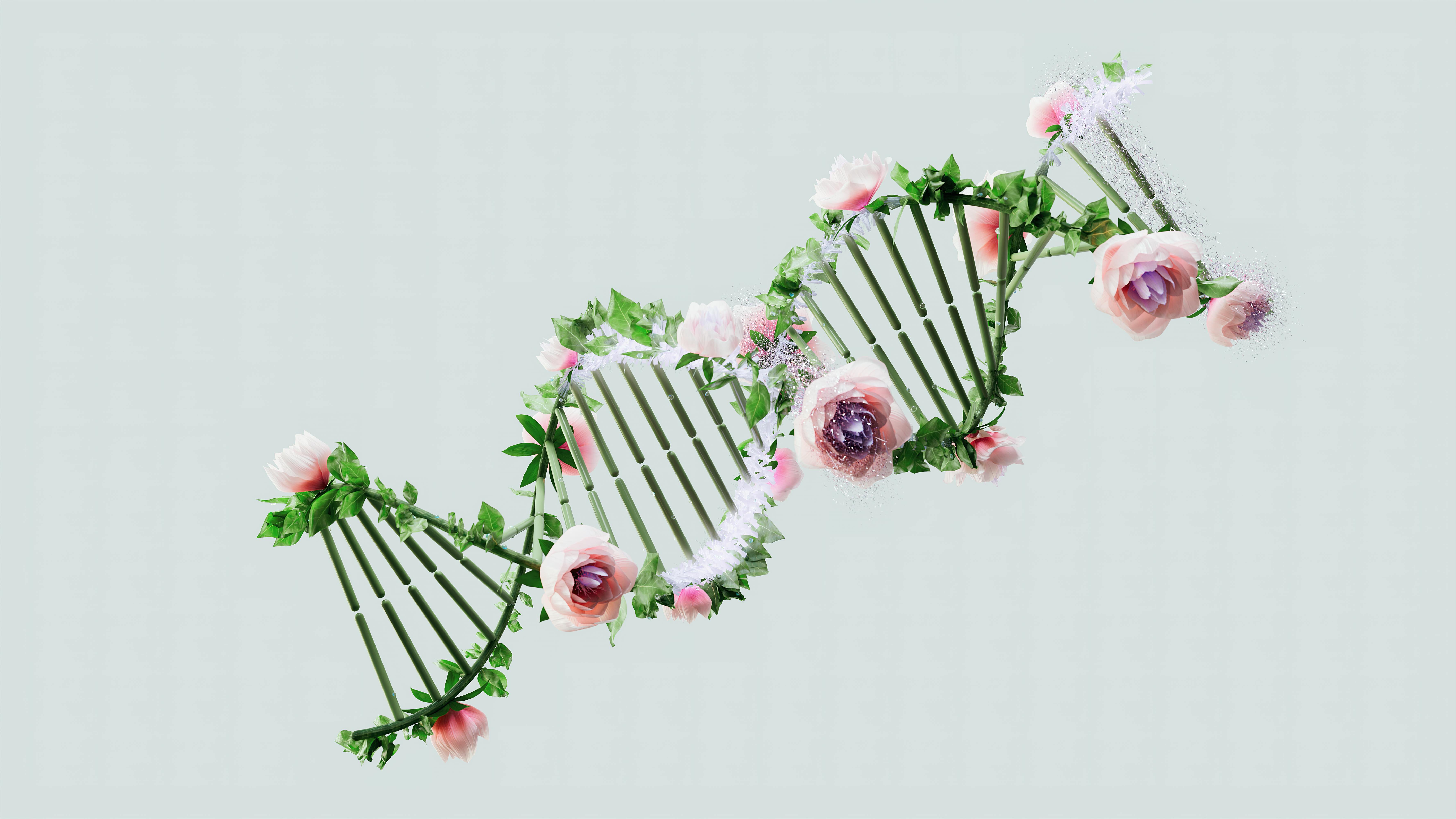 Giappone, rimosso in laboratorio il terzo cromosoma 21: entusiamo nel mondo Giappone, rimosso in laboratorio il terzo cromosoma 21: entusiamo nel mondo