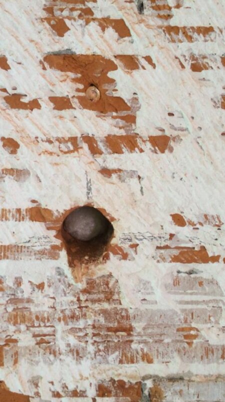 10417535_727946623913584_2981626849333244058_n