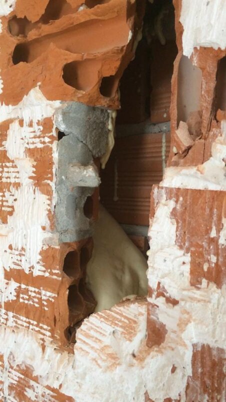 10306181_727946573913589_4949430184168671236_n