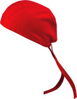 bandana-banisa-economica