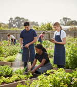 t-shirt-girocollo-con-bottoni-serafino