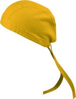 bandana-banisa-economica