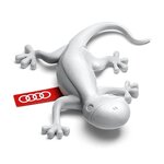 gecko-profumato-audi