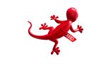 gecko-profumato-audi