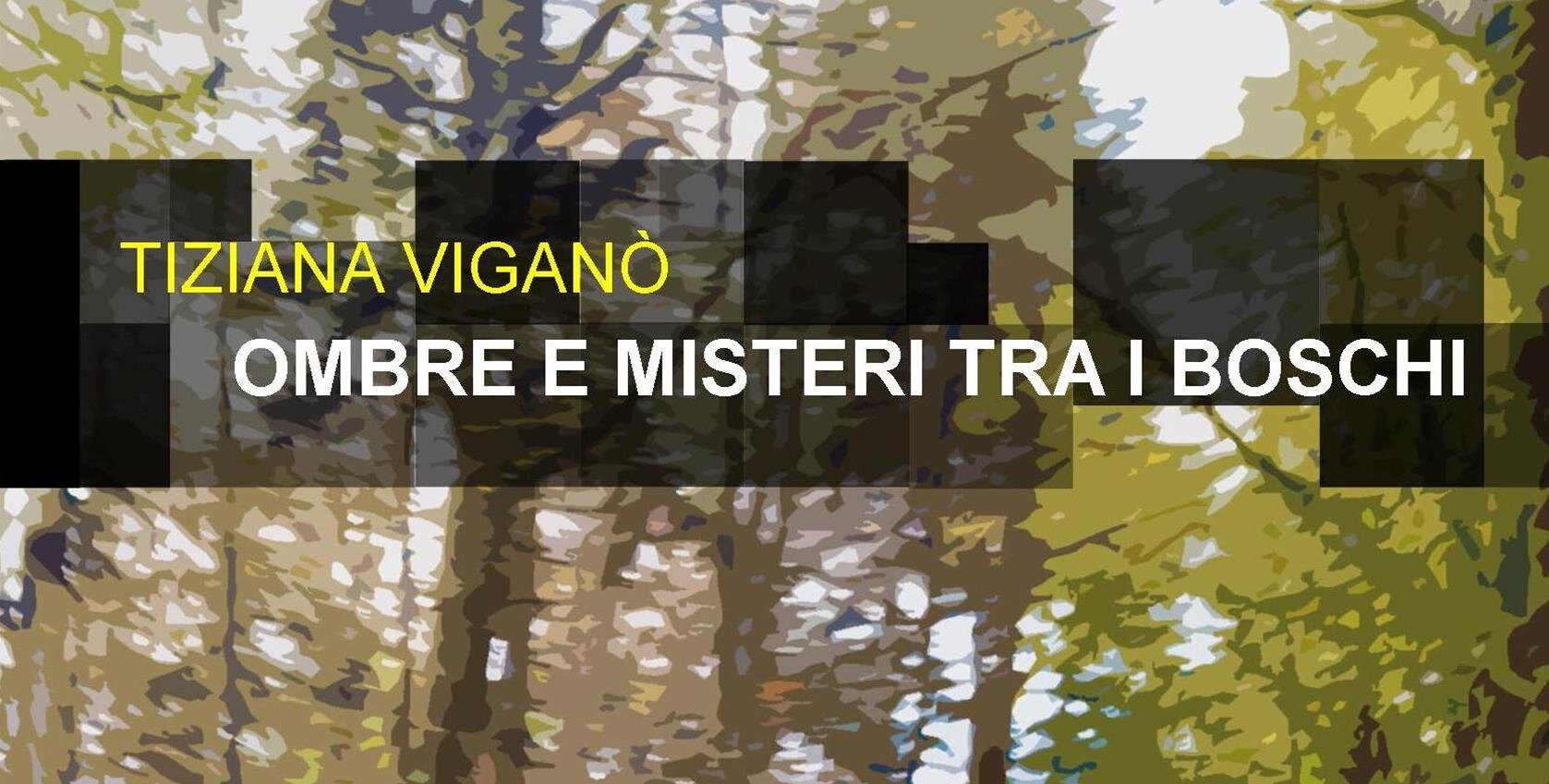 viganò-banner-uscita-libri-lungo.jpeg