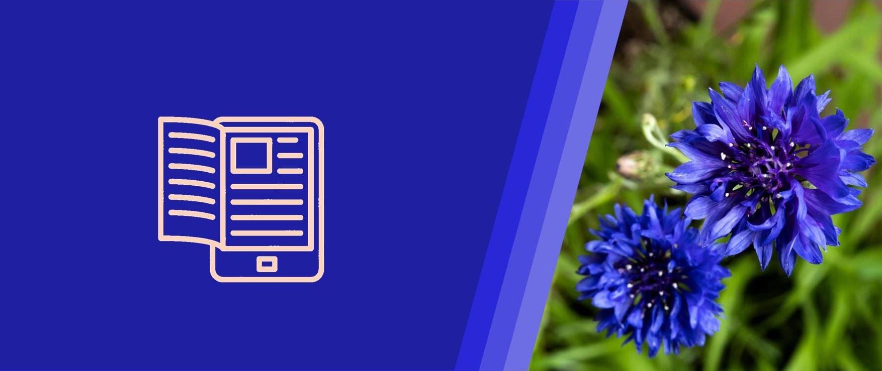 Dalle librerie agli store online!