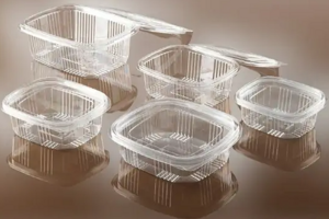 faerch-vaschetta-rettangolare-in-pet-con-coperchio-varie-misure