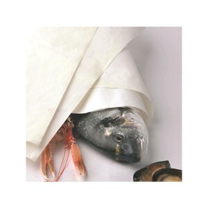 carta-vegetale-vari-formati