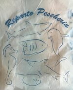 buste-sacchetti-shopper-rotolo-biodegradabili-e-compostabili-vari-formati