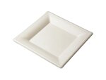 piatti-quadri-bio-in-polpa-di-cellulosa-20x20cm-50pz