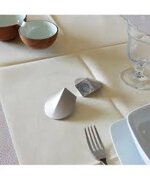 runner-in-tnt-120x48cm-25pz-vari-colori-airspun-pack-service