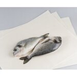 carta-vegetale-vari-formati