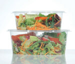 vaschette-in-ops-con-coperchio-ovali