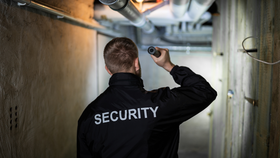 guardiania guardiania