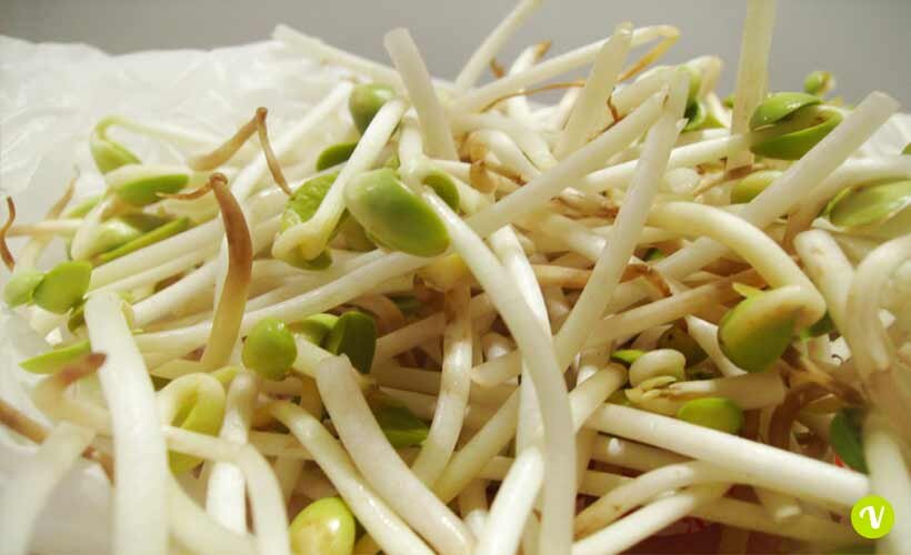 7ca1d1ba-8f79-4452-a9bb-ed871decec17.jpg 7ca1d1ba-8f79-4452-a9bb-ed871decec17.jpg