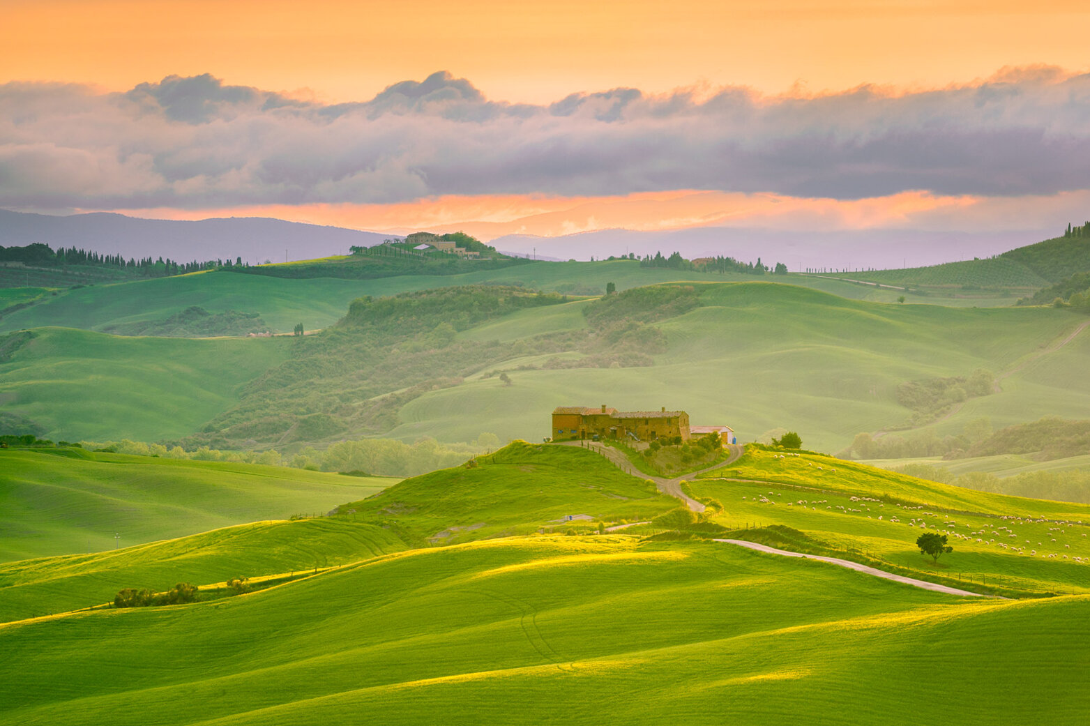 tuscany-sunset-italy_l.jpeg tuscany-sunset-italy_l.jpeg