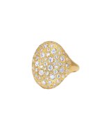 anello-scudo-grande-alisei-milano