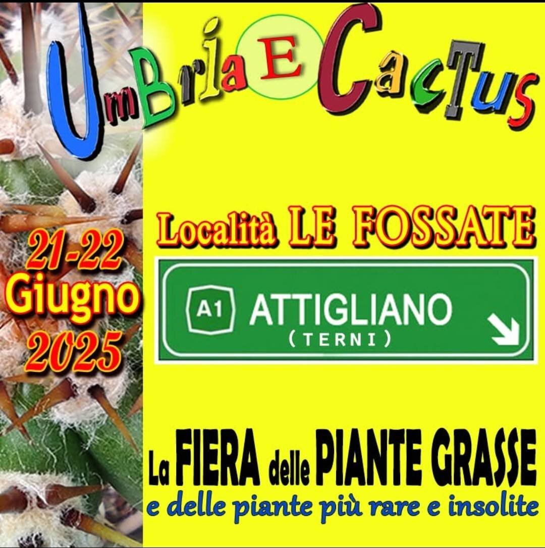 Torna questo week end Umbria e Cactus, ad Attigliano