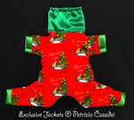 exclusive-25-xmastime-light-editions