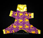 exclusive-westminster