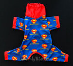 exclusive-4-superyorkie