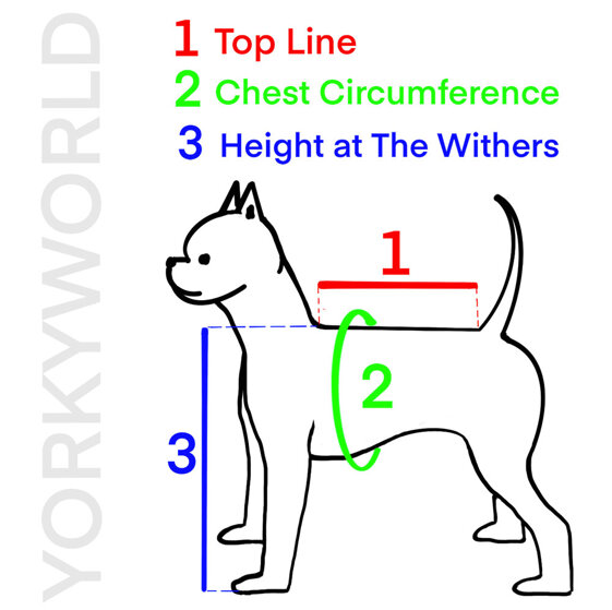 7db4bfa6-a342-470b-a31c-229b27712054