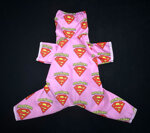 ex-super-yorkie-pink-tech-ed