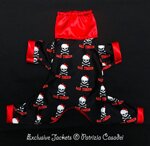 exclusive-bad-yorkie