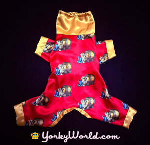 exclusive-kentucky-silky-edition