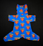 ex-super-yorkie-blue-tech-ed