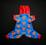 exclusive-4-super-yorkie-blue-silky-edition