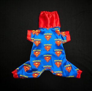 exclusive-4-super-yorkie-blue-silky-edition