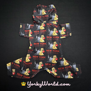 ex-ny-big-apple-tech-ed