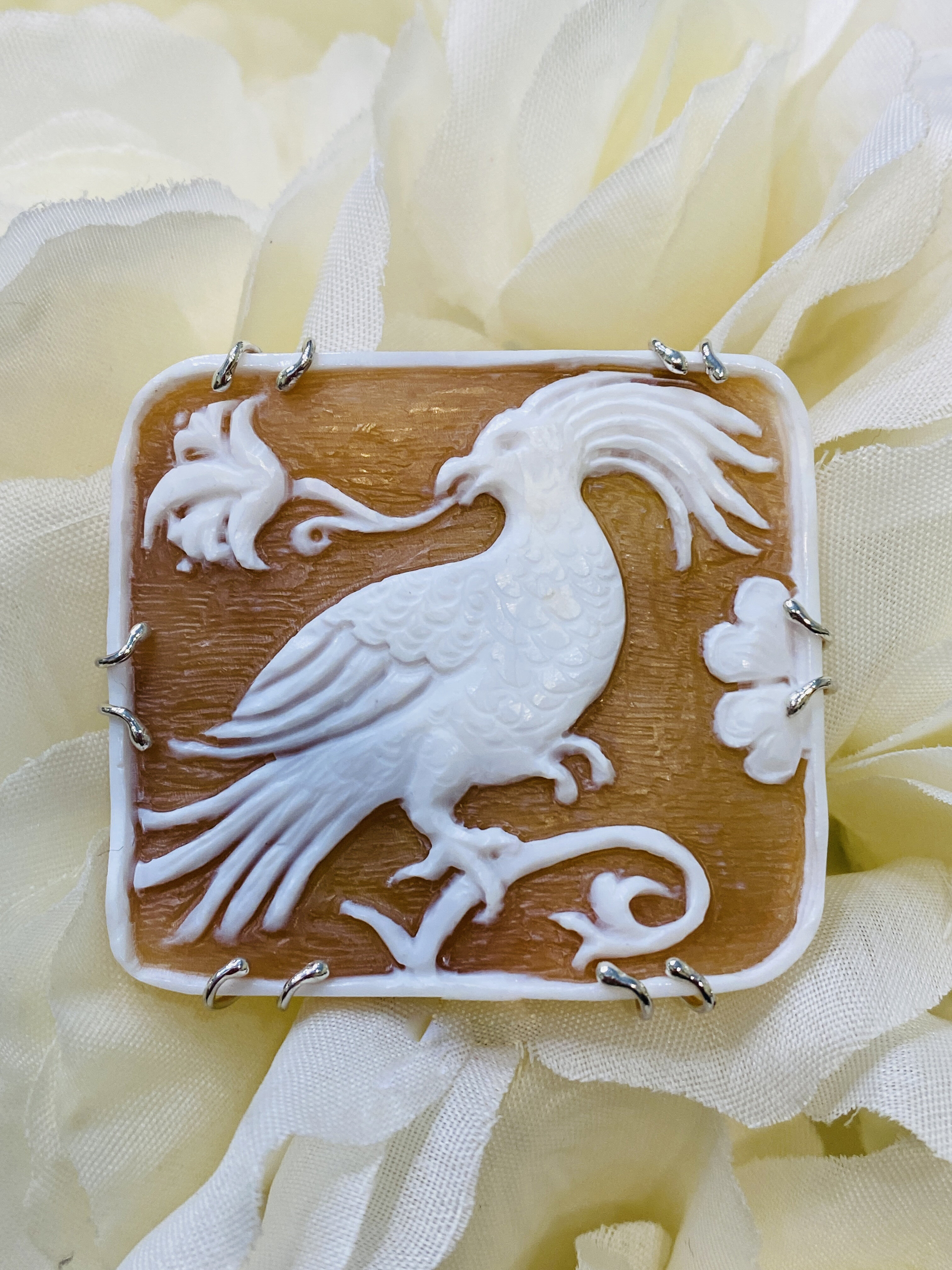 9b82f524-f491-4cd9-912a-7ee884a9ac30.jpg 9b82f524-f491-4cd9-912a-7ee884a9ac30.jpg