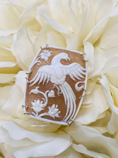 ffe57375-ce7a-46ce-820f-3a1a83a40382.jpg ffe57375-ce7a-46ce-820f-3a1a83a40382.jpg